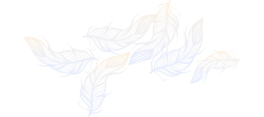 gradient feathers background Design Wallpaper Vector