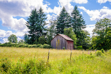 An old rickety wooden barn under tall trees at the edge of a green meadow with lush grass
