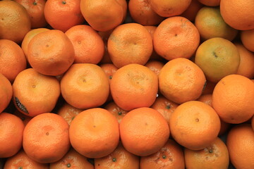 oranges arranged on market stall