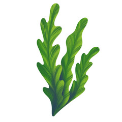 Green Leaves Seaweed PNG Clipart