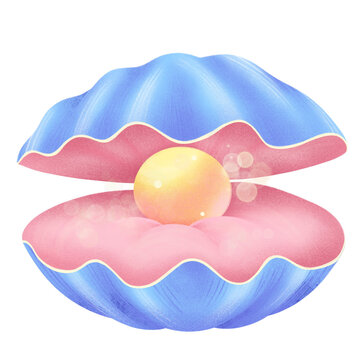 Clam Shell with Pearl PNG Clipart