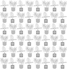 Organic Plants background pattern. Organic decorative home plants and tropical plants background pattern. Hand drawn abstract leaves pattern. Hand drawn seamless pattern. 