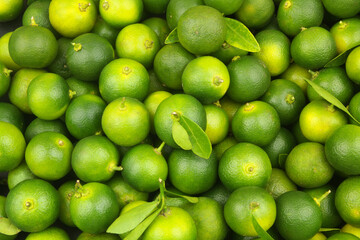Fresh green limes with leaves as background