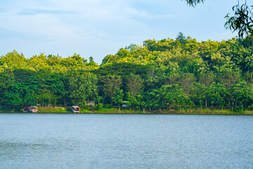 Forests by the dam of Tanjungan, Mojokerto. Indonesia.