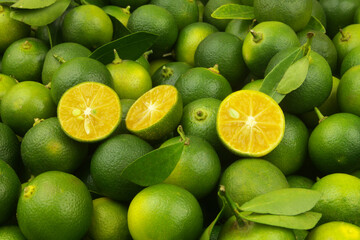 Close up of fresh ripe calamansi limes. 