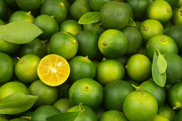 Close up of many fresh ripe limes. Calamansi limes background.