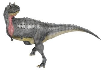 カルノタウルス　恐竜白亜紀後期に現在の南米大陸に当たる地域に生息した肉食恐竜。カルノタウルスの名は「肉食の雄牛」を意味し、独自の身体的特徴を持つこの大陸の肉食恐竜の中で最も知られている。北米大陸で生態系の頂点にあったティラノサウルスのように前足が極端に小さい。歯は鋭いが細かく整列しており、捕食者としての力強さはティラノサウルスに及ぶべくもないが、その怪異で個性的な風貌に魅せられる。