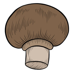 mushroom illustration