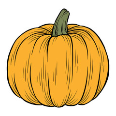 illustration of a pumpkin