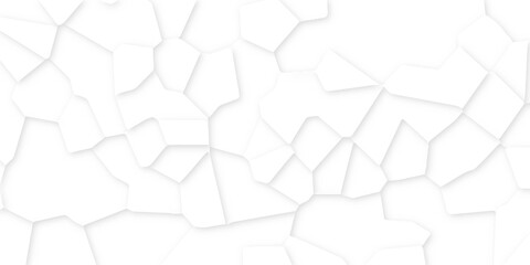 Abstract white paper cut  background.realistic crumpled paper decoration textured with multi layers.3d papercut and multi layer cutout geometric pattern on vector background.