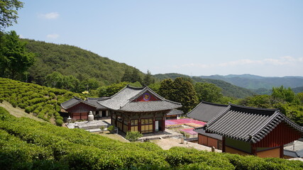 a beautiful temple in Korea
