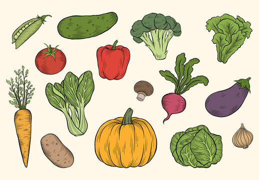 Vegetable Clipart Illustrations