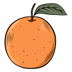 illustration of an orange