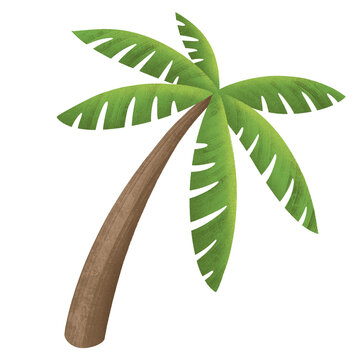 palm tree leaf cartoon clipart illustration