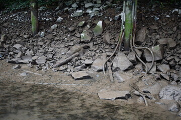 grungy underwater power cables