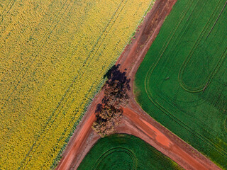 Rural Roads, Dirt Roads, Farming tracks - Western Australia