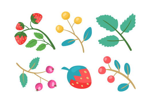 Cute berries with branches and leaves vector illustrations set. Cartoon drawings of red and yellow berries, strawberry, rowan, rosehip isolated on white background. Gardening, nature concept