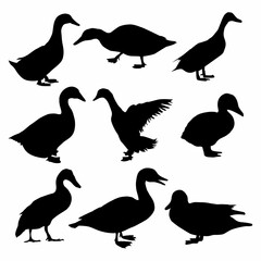 Black and white silhouette of Duck Bundle icon
