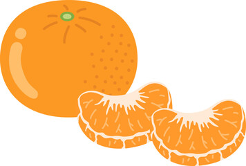 みかんの実のイラスト