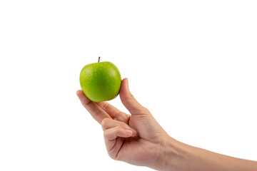 Hand and fresh green isolated on transparent background