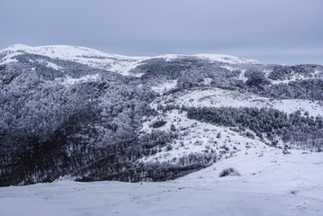 Fototapeta na wymiar Winter forest on the slopes of Demerdzhi mountain range after blizzard in spring. Crimea