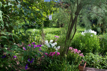 Garden in the summer in France Alsace