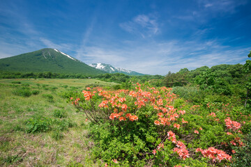 田代平高原
