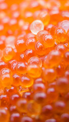 macro shot of the luxury and expensive food called red caviar which is extracted from salmon fish 