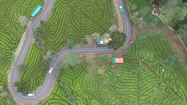 Aerial view of Ciwidey street with beautiful tea plantation pattern.