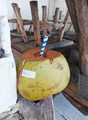 Yound coconut fruit drink,placed left on the white table