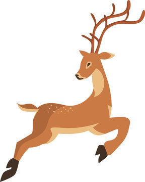 Deer Illustration Vector