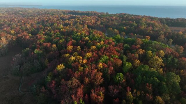 Colorful fall foliage in forest woodland in autumn. Chesapeake Bay in distance. Aerial of rural Maryland USA.