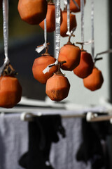 Dried persimmon in winter