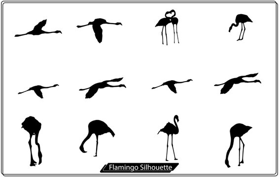 Flamingo silhouettes set isolated on white