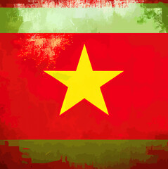 illustration of the Vietman flag