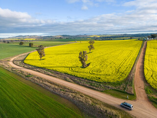 Farmlands as far as the eye can see in rural NSW Australia - 558306157