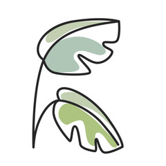 hand drawn shapes floral design elements Exotic jungle leaves. Abstract contemporary modern leaf