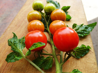 Ripe cherry tomatoes, a branch of fresh tomatoes for cooking close-up