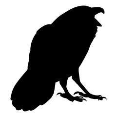 Crow Silhouette Illustrations
