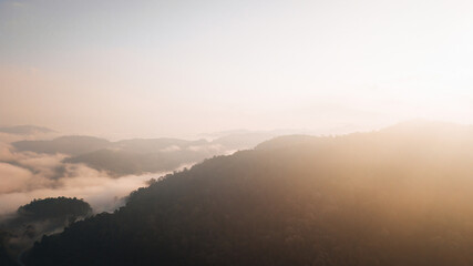 Fototapeta premium Aerial view of golden mist, blanket cloud and fog hanging over a lush tropical rainforest in the morning.