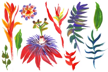 Fototapeten Set of tropical flowers branches and leaves painted with bright colors for textile  © Марина Воюш