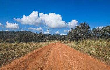 Fototapeta na wymiar panorama panoramic of green pasture countryside road.
