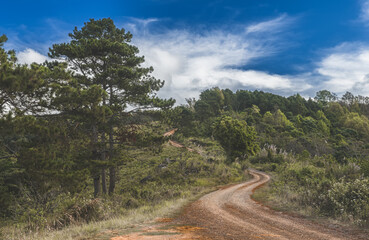 panorama panoramic of green pasture countryside road.