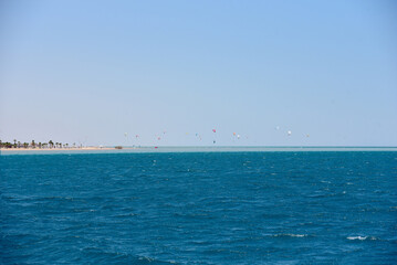 Fototapeta na wymiar large group of kite surfers