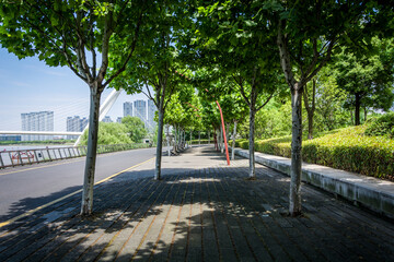 Road and trees in beautiful city park