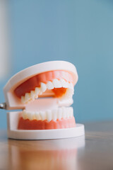 Stomatology concept, partial portrait of girl with strong white teeth looking at camera and smiling, fingers near face. Closeup of young woman at dentist's, studio, indoors