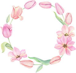 Watercolor pink tulip. Spring flowers isolated on white background. Floral Bouquet, Wreath, Frame. Decorative design elements.