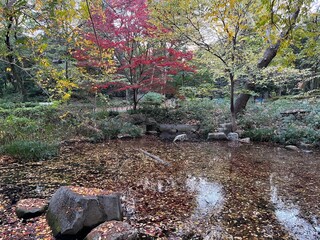 林試の森公園、東京