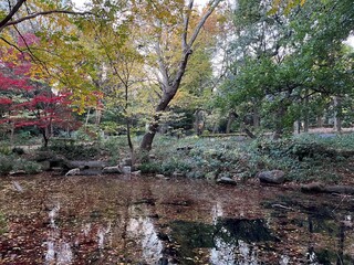 林試の森公園、東京