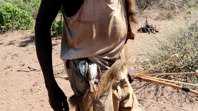 Hadzabe tribe man with arrows in his hands shows a belt of hunted birds, closeup